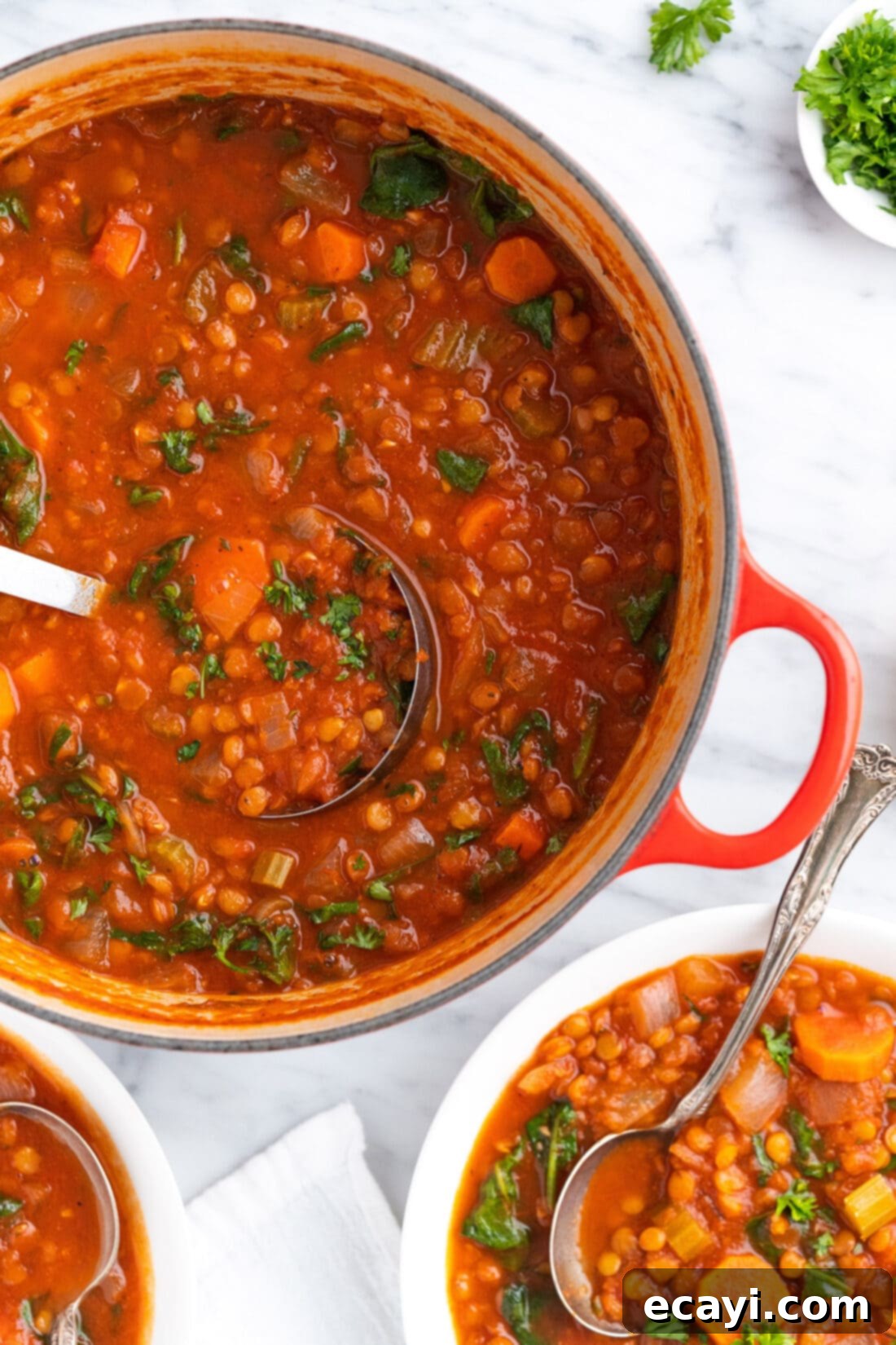 Soul-Warming Lentil Soup 12 Large pot filled with rich, simmering lentil soup, perfect for a cozy and satisfying meal.