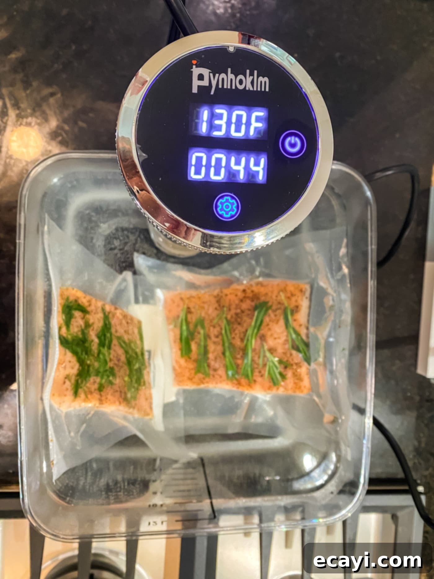 Perfect Sous Vide Salmon 9 A sous vide cooker maintaining a precise temperature of 130°F in a water bath, with two vacuum-sealed salmon fillets gently cooking.