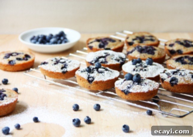 Jeweled Wild Blueberry Financiers 3 Wild Blueberry Financiers // FoodNouveau.com