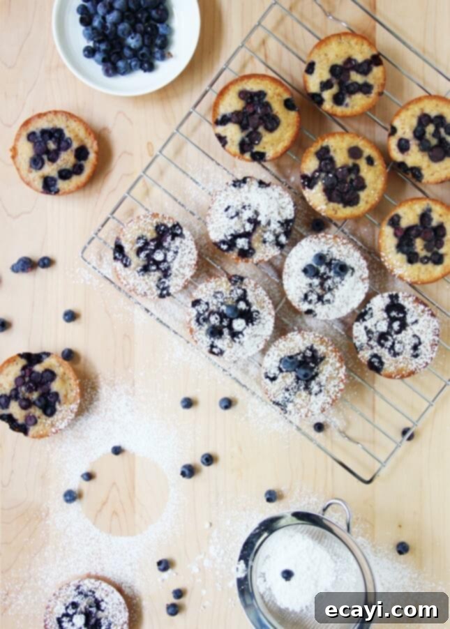 Jeweled Wild Blueberry Financiers 4 Wild Blueberry Brown Butter Financiers // FoodNouveau.com