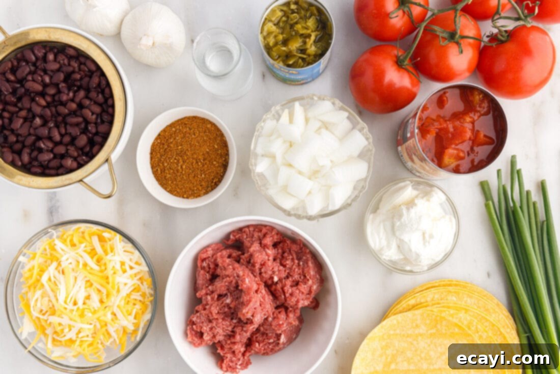 Tex-Mex Lasagna 4 Ingredients for Easy Cheesy Mexican Lasagna laid out on a table