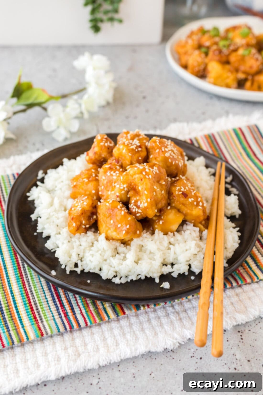 Tangy Orange Crunch Chicken 5 Plate of Orange Chicken over rice