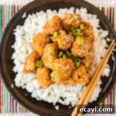 Tangy Orange Crunch Chicken 6 Plate of Orange Chicken