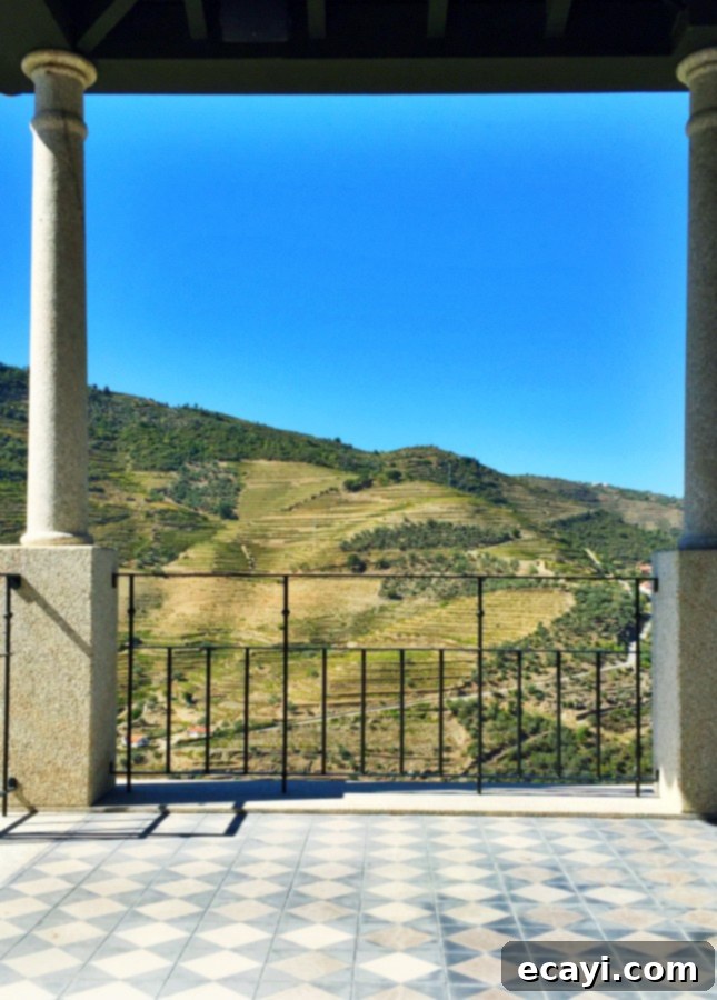 The Northern Portugal Enchantment 4 No such thing as a bad view in the Douro Valley, Portugal // FoodNouveau.com