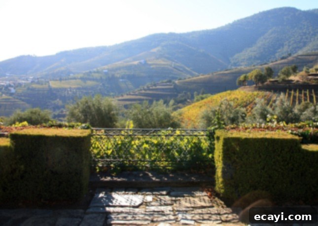 The Northern Portugal Enchantment 5 The view from the terrace at Ramos Pinto's Quinta do Bom Retiro, Douro Valley, Portugal // FoodNouveau.com