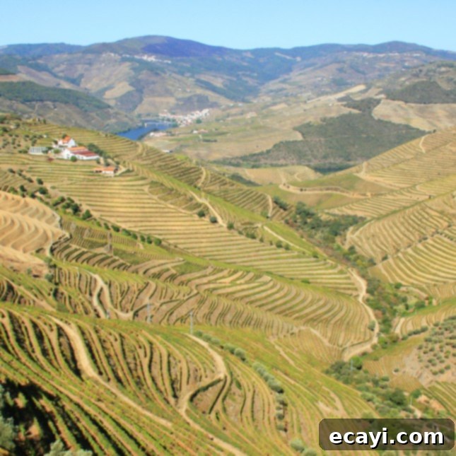 The Northern Portugal Enchantment 6 Breathtaking view of the Douro Valley, Portugal // FoodNouveau.com