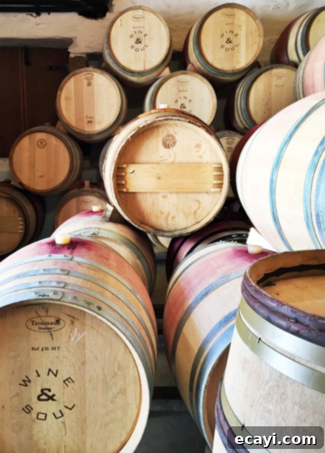 The Northern Portugal Enchantment 8 Barrels of wine aging at the Wine & Soul winery, Douro Valley, Portugal // FoodNouveau.com
