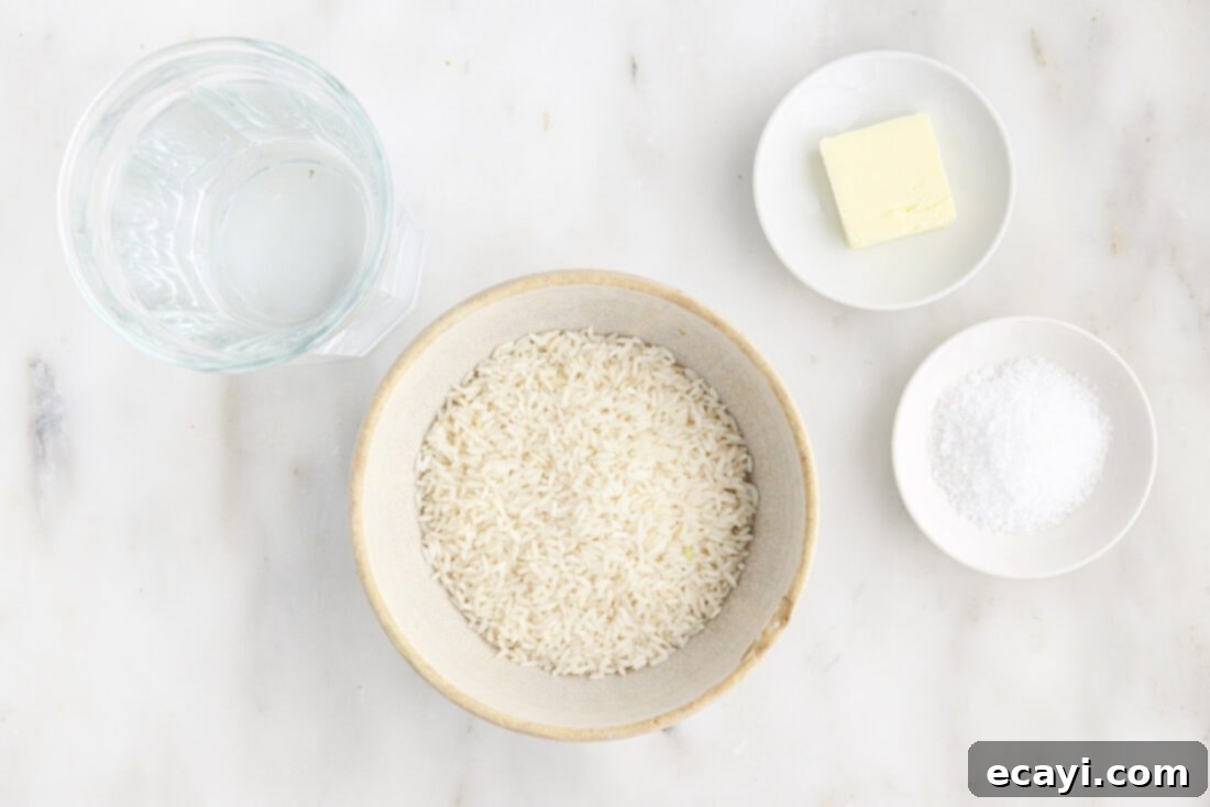 Perfect Fluffy Rice Every Time 4 Ingredients for How to Make Rice: white rice, water, salt, and butter