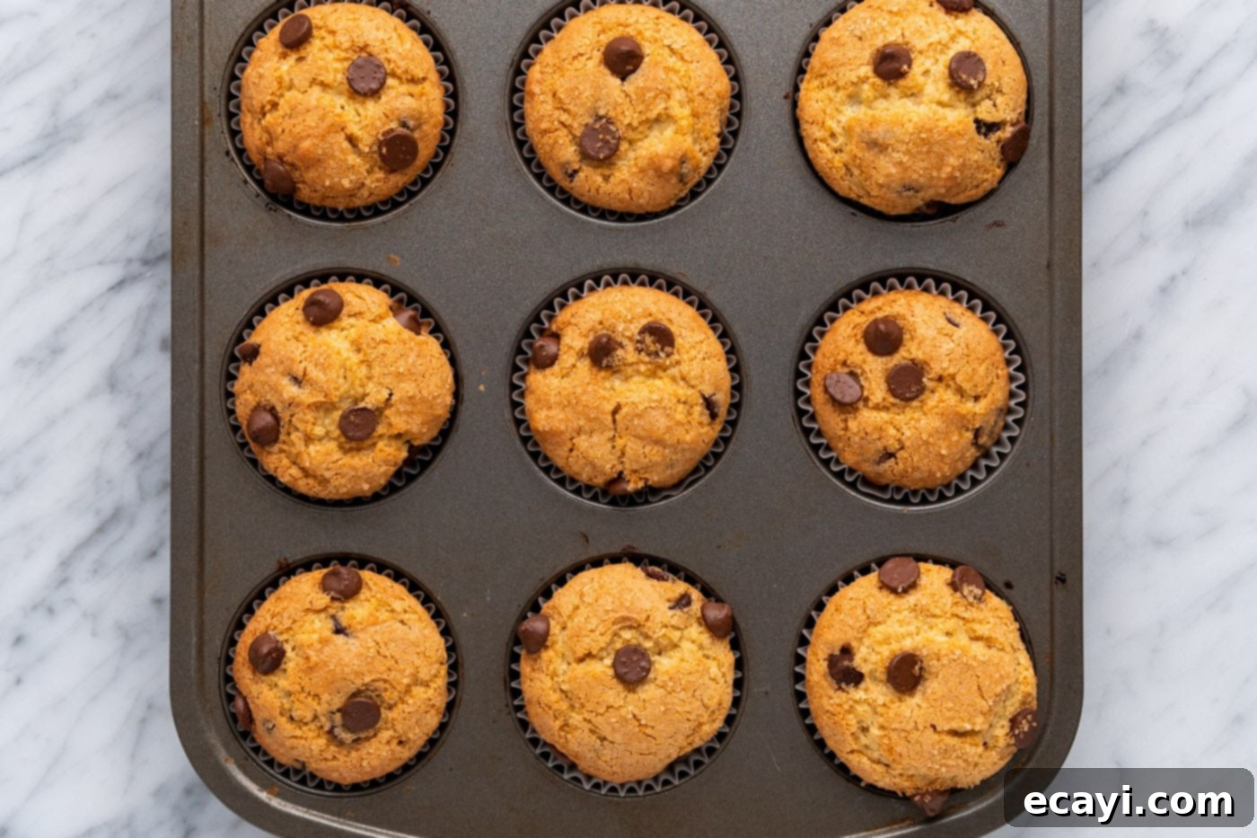 Heavenly Chocolate Chip Bites 16 baked chocolate chip muffins in a pan