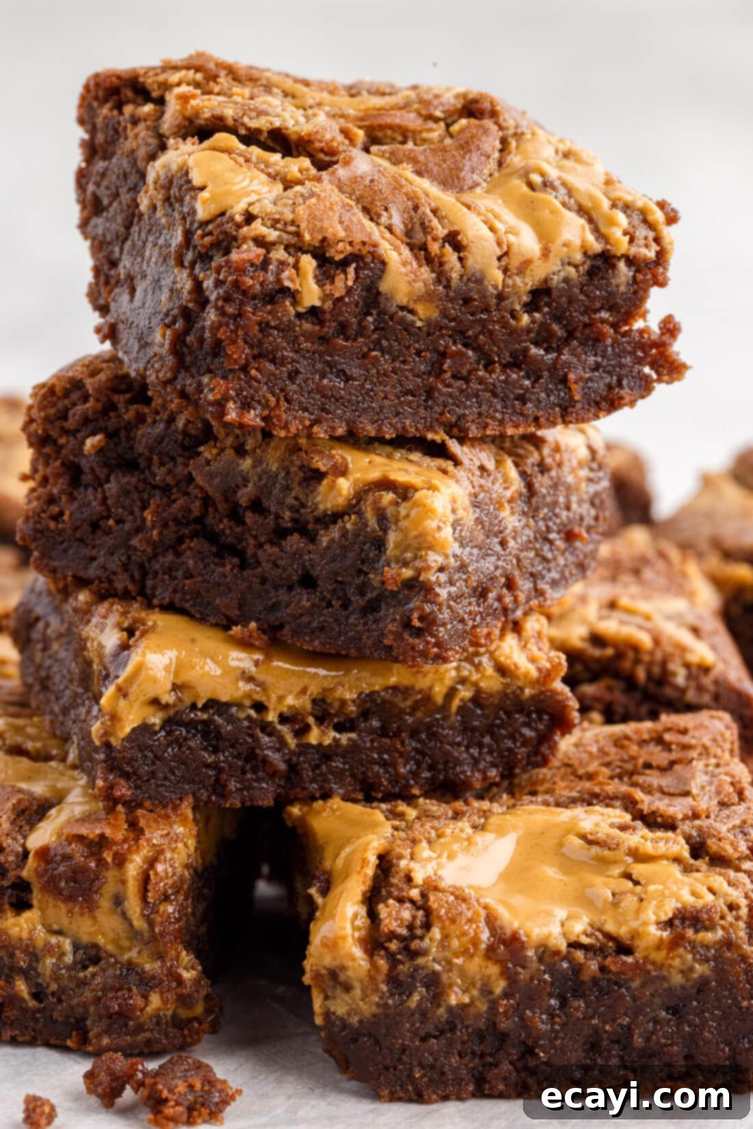 Peanut Butter Brownie Bliss 2 Stack of Peanut Butter Brownies