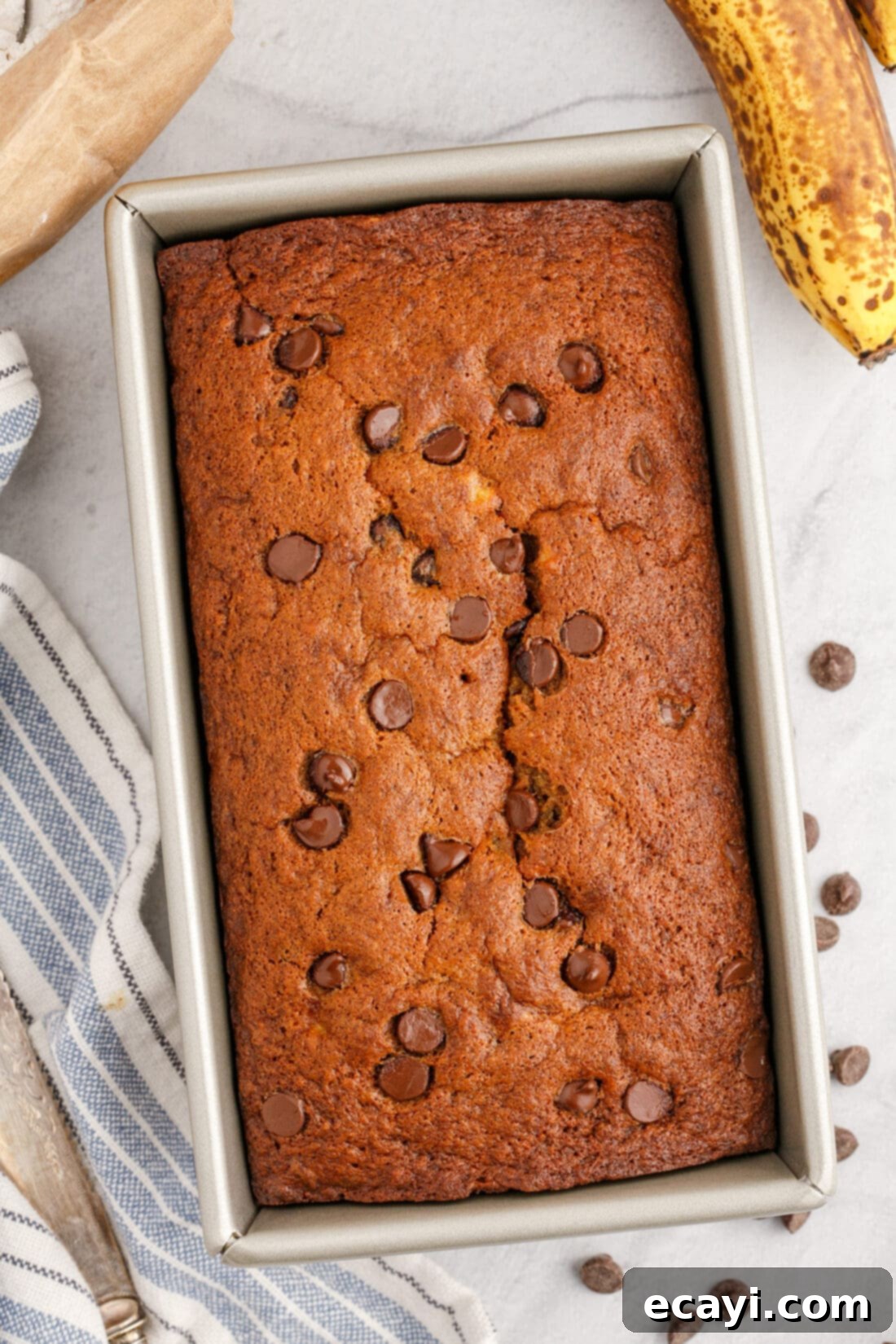 Banana Chip Indulgence 2 A beautifully baked loaf of chocolate chip banana bread, golden brown with visible melted chocolate chips.