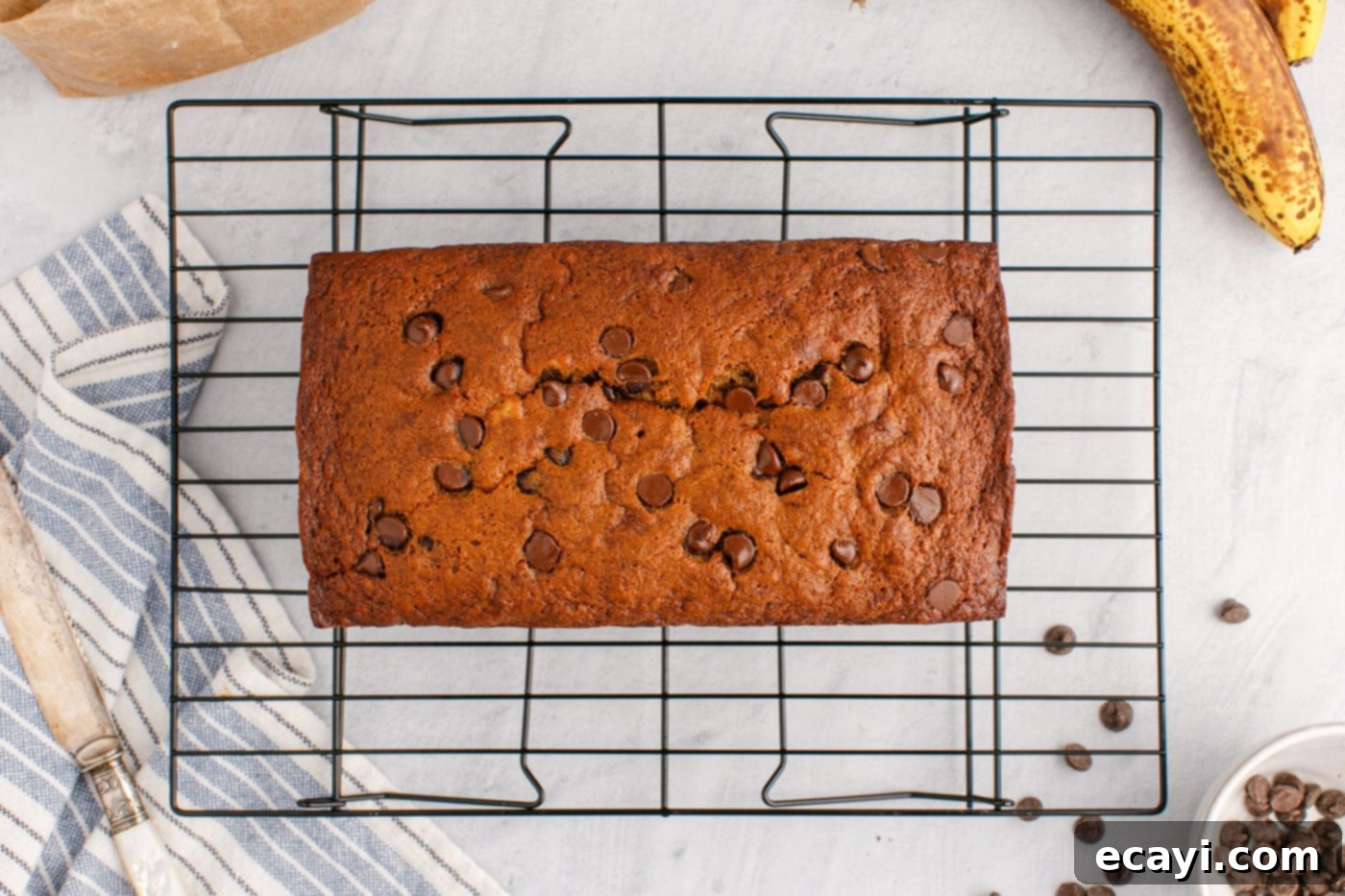 Banana Chip Indulgence 15 banana bread with chocolate chips on a wire cooling rack