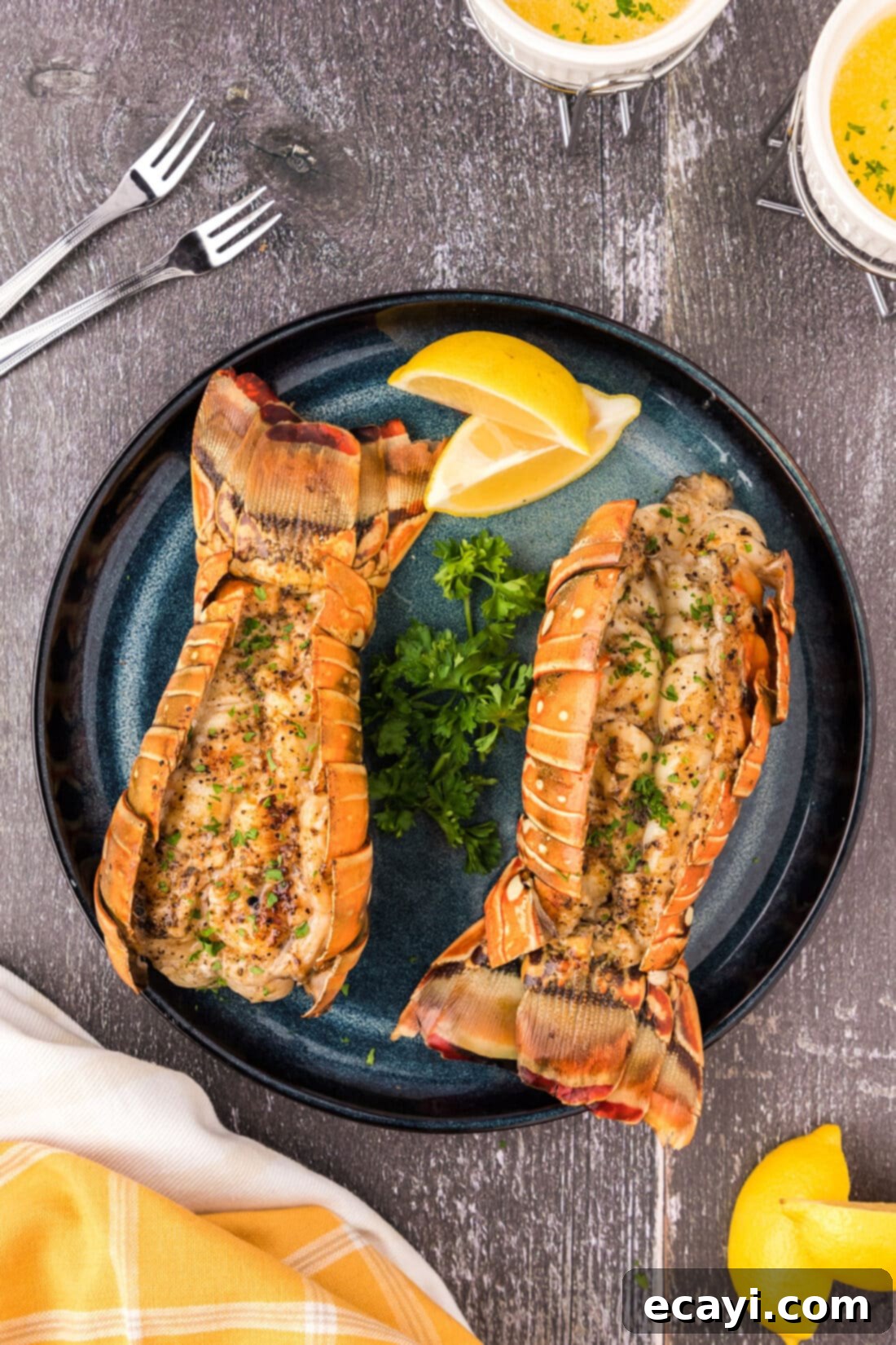Succulent Grilled Lobster Tail 2 Two Grilled Lobster Tails on a plate
