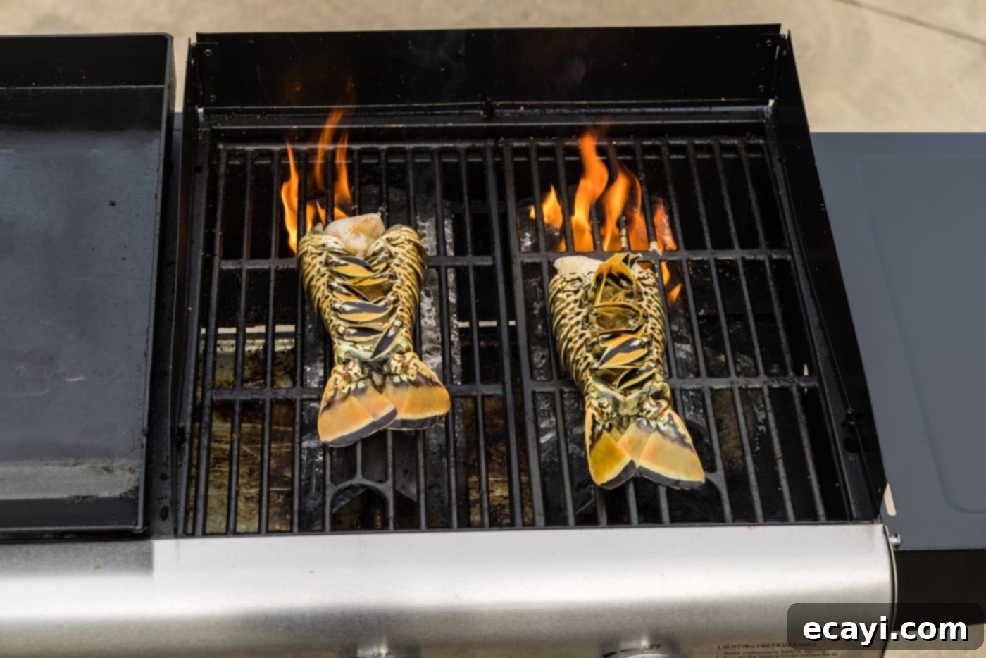 Succulent Grilled Lobster Tail 11 cooking lobster tail, meat side down on the grill