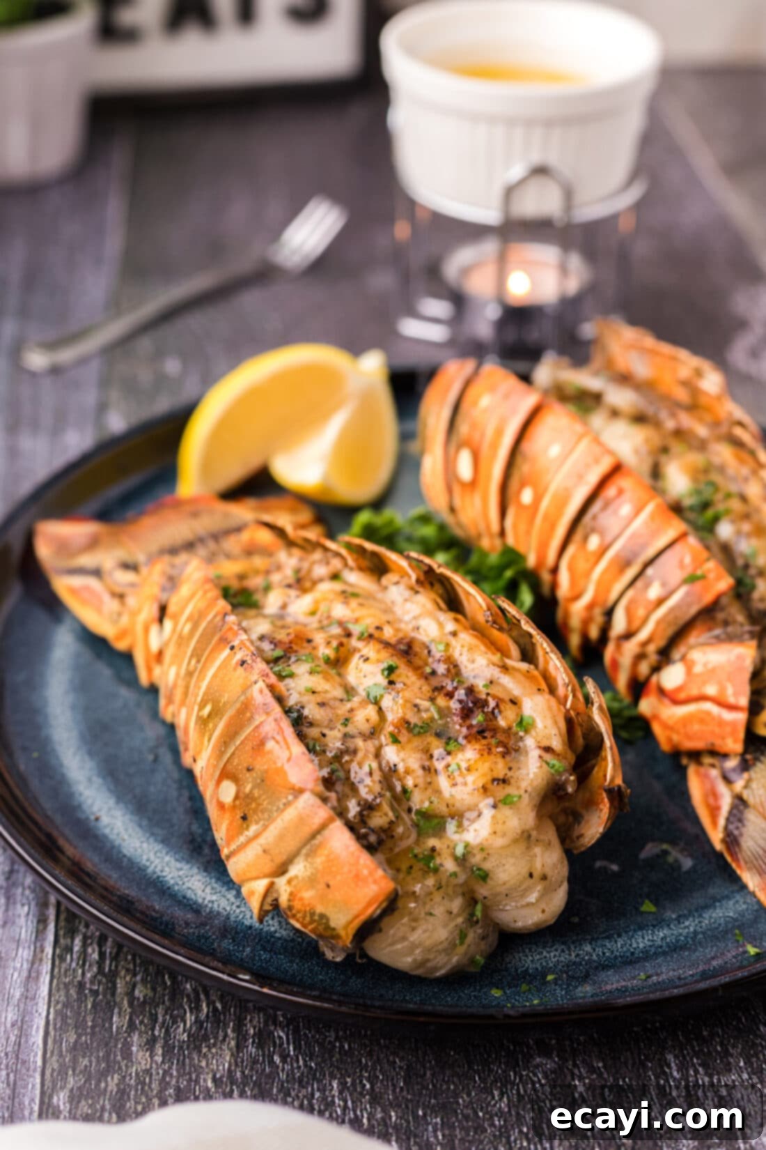 Succulent Grilled Lobster Tail 15 Close up of Grilled Lobster Tail on a plate