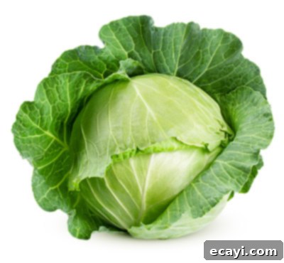 Düşük Karbonhidratlı Sebzeler: Ne Yenmeli, Nelerden Kaçınmalı 11 A crisp green cabbage head isolated on a white background, showcasing its dense leaves.