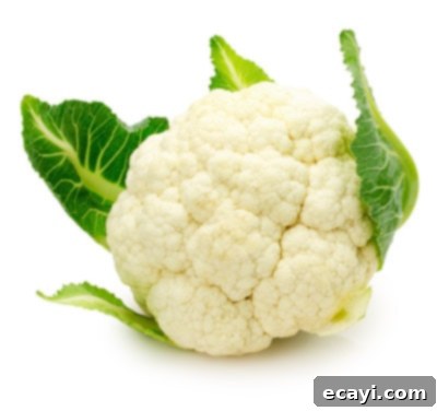 Düşük Karbonhidratlı Sebzeler: Ne Yenmeli, Nelerden Kaçınmalı 8 A fresh head of cauliflower isolated on a white background, highlighting its versatile florets.
