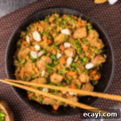Wok-Fired Pork Fried Rice 19 A delicious bowl of homemade Pork Fried Rice ready to be served