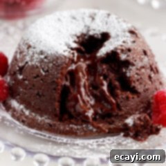 Molten Chocolate Bliss 20 Lava Cake on a plate topped with powdered sugar with a bite taken out