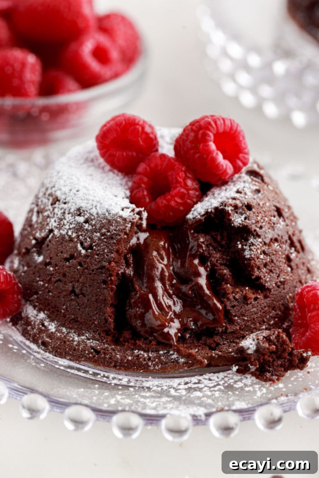 Molten Chocolate Bliss 3 Lava Cake on a plate topped with powdered sugar and raspberries