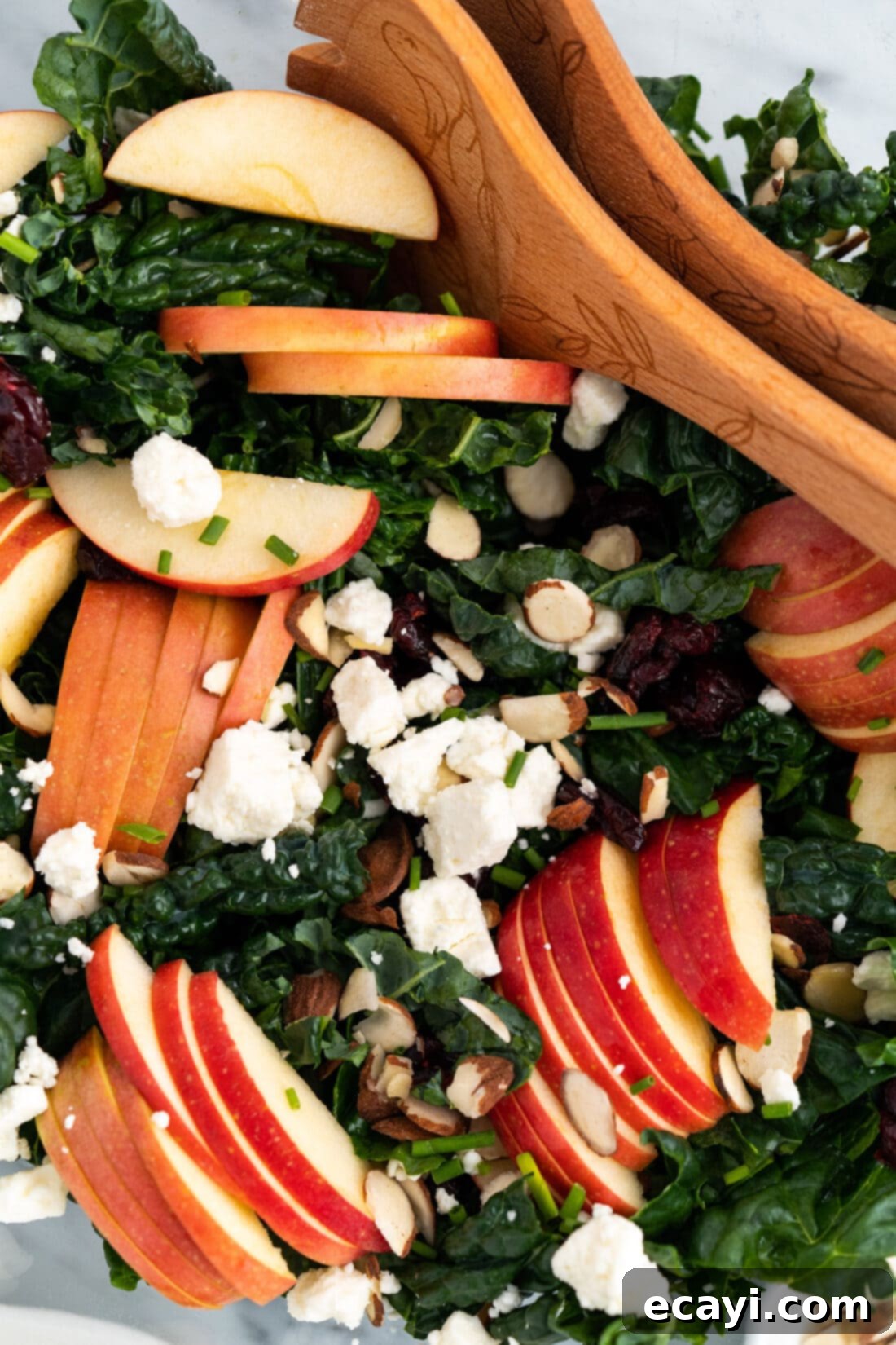 Signature Kale Salad 2 Close up of Kale Salad