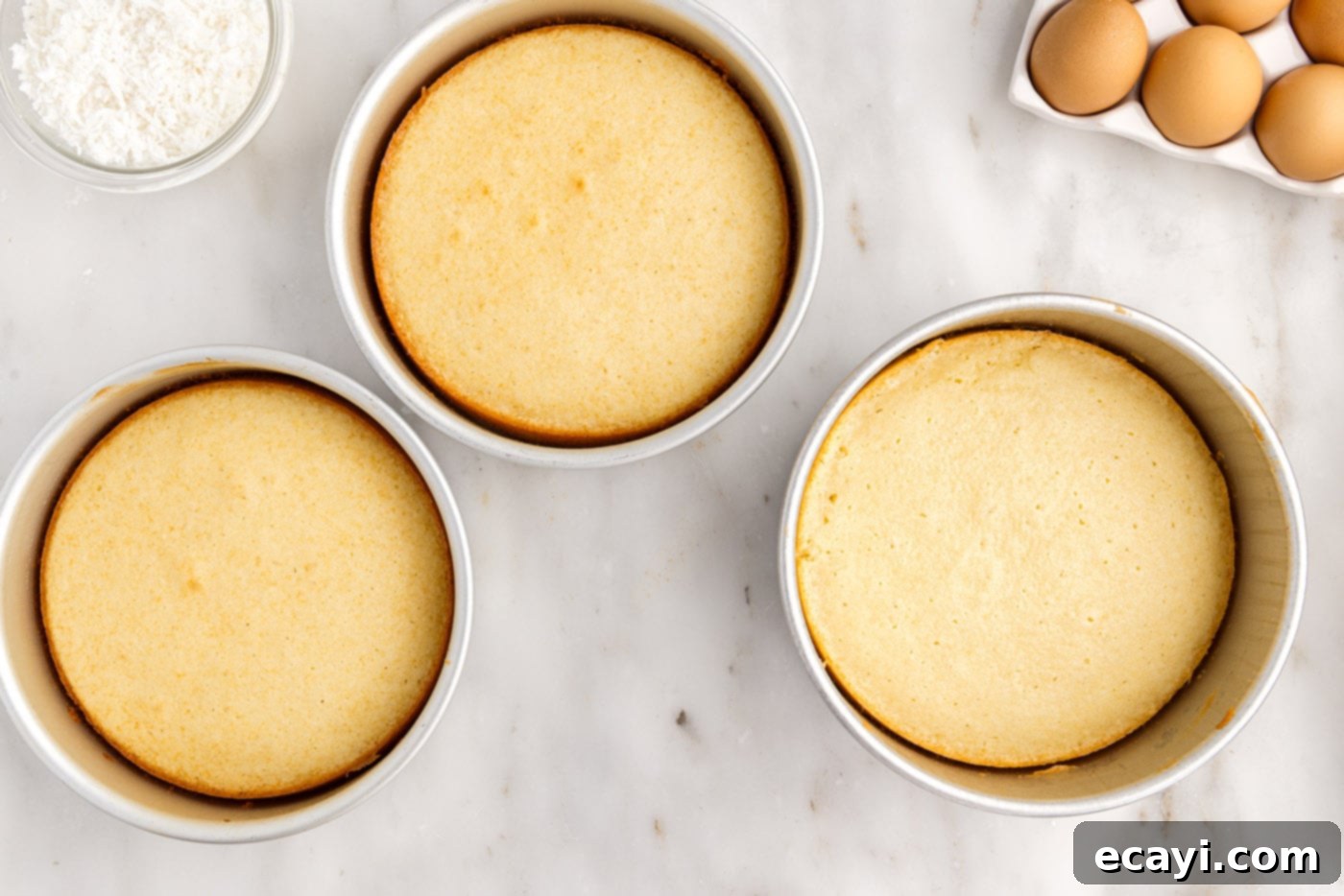 Pineapple Coconut Paradise 12 baked coconut cakes in round pans, golden brown and perfectly risen