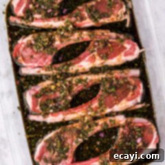 Ultimate Lamb Chop Marinade 6 Lamb Chop Marinade in a baking dish
