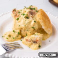 Velvet Lobster Delight 18 Plate of Lobster Newburg over an open biscuit, ready to be served.