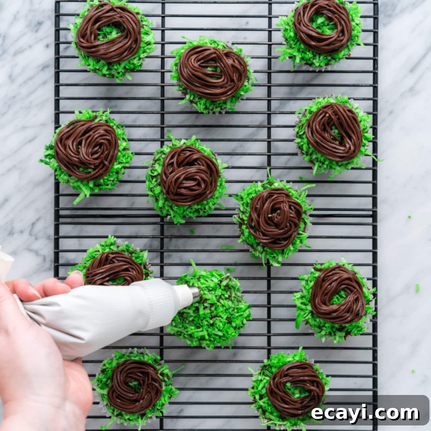 Springtime Nest Delights 12 piping on chocolate frosting on top of coconut flake cupcakes