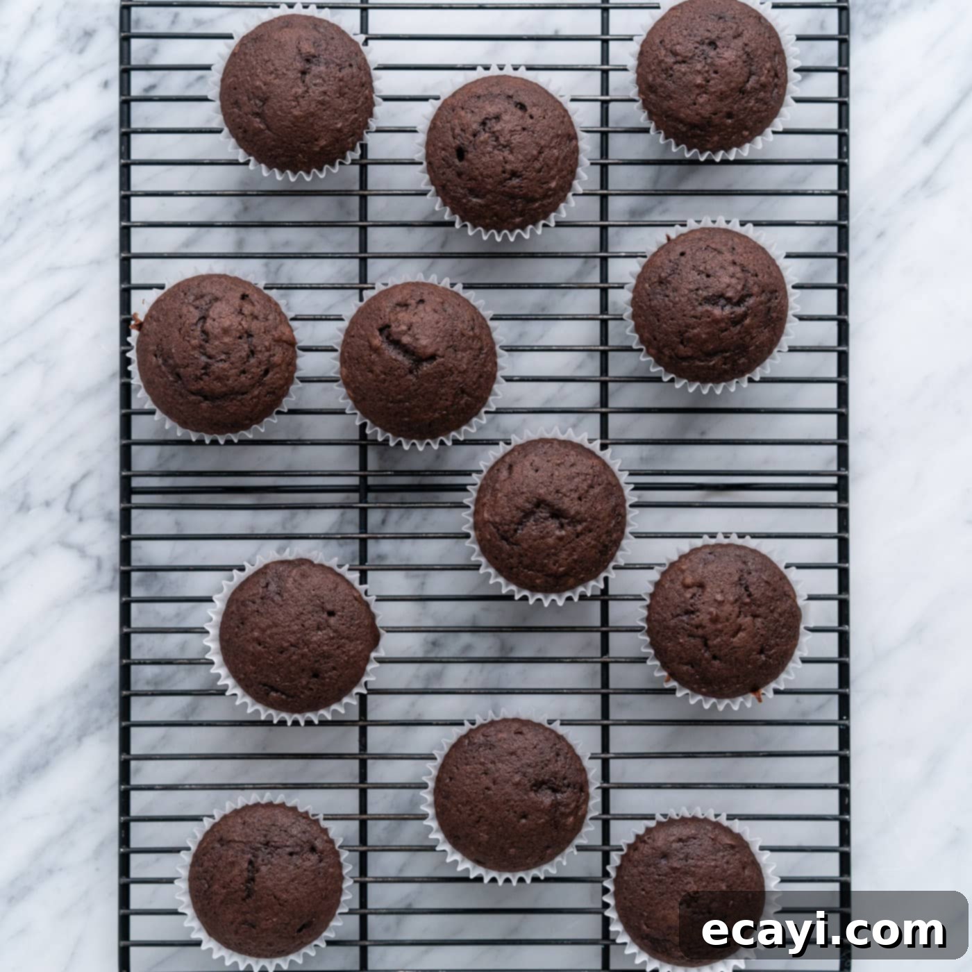Springtime Nest Delights 7 chocolate cupcakes cooling on a wire rack