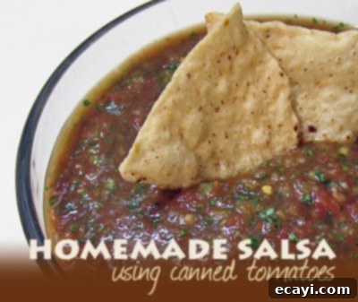 Velvety Bean & Queso Dip 5 A close up photo of homemade salsa in a bowl with two tortilla chips on top.