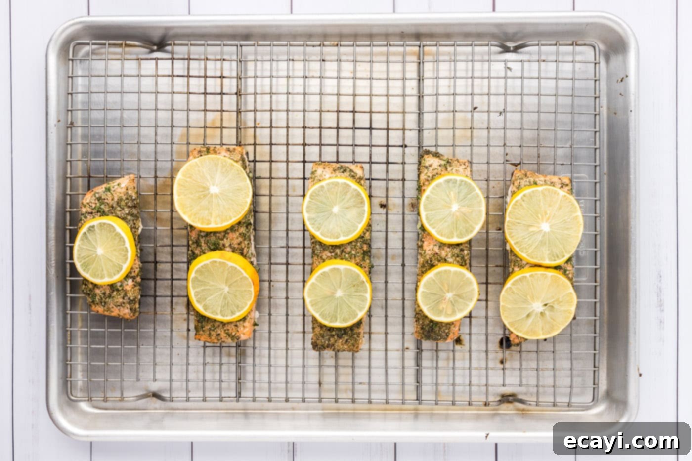 Zesty Dill Salmon 10 dill salmon with lemon slices