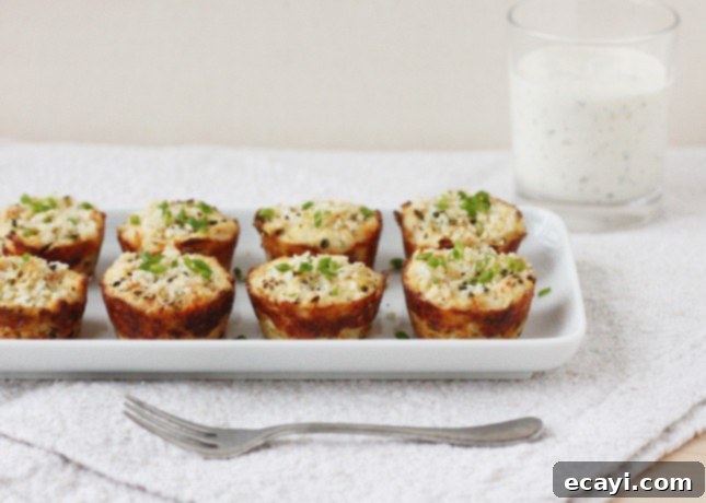 Crisp Snow Crab Bites with Zesty Lemon-Dill Aioli 2 Crunchy Mini Crab Cakes with Lemon-Dill Mayo // FoodNouveau.com