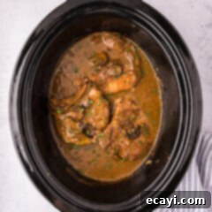 Fall-Off-The-Bone Pork Chops 15 Overhead photo of Crockpot Pork Chops in a Crockpot