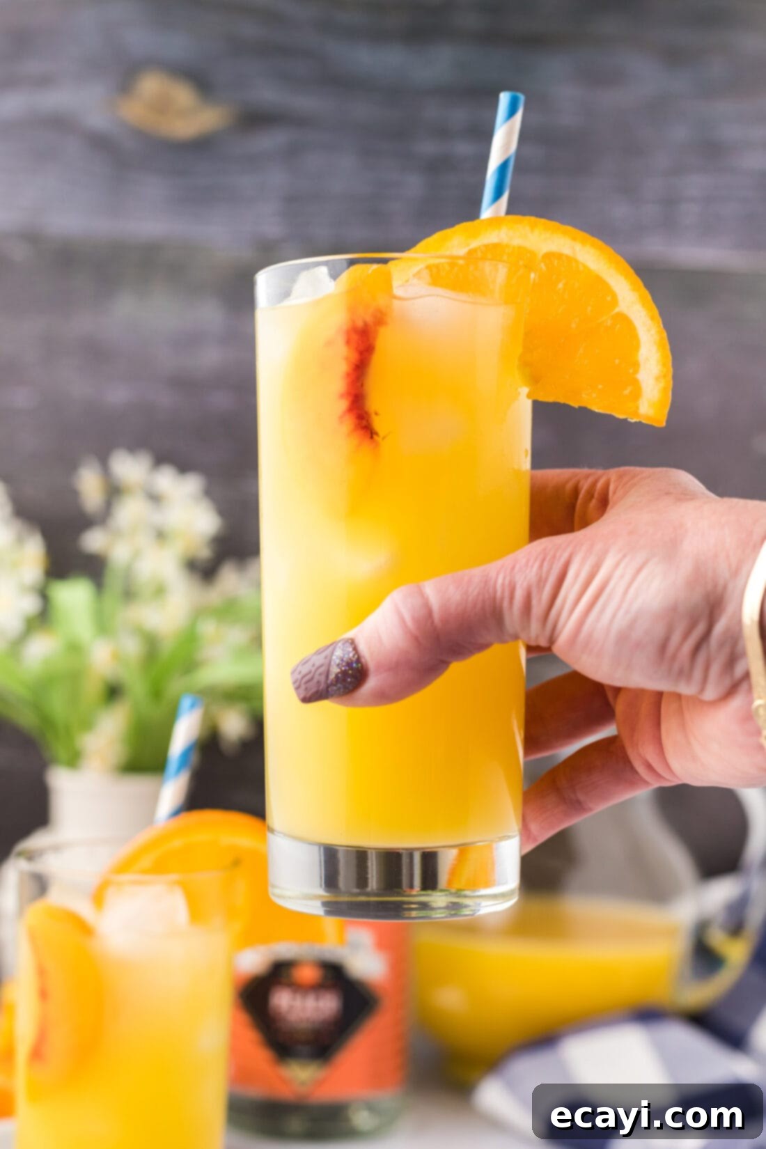 Golden Peach Nectar 2 Hand holding a Fuzzy Navel drink with an orange slice garnish