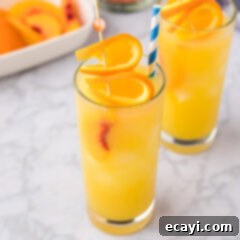 Golden Peach Nectar 12 Fuzzy Navel with a straw and orange slices garnished on top