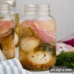 Perfectly Pickled Eggs 12 Jar of Pickled Eggs with more jars in the background