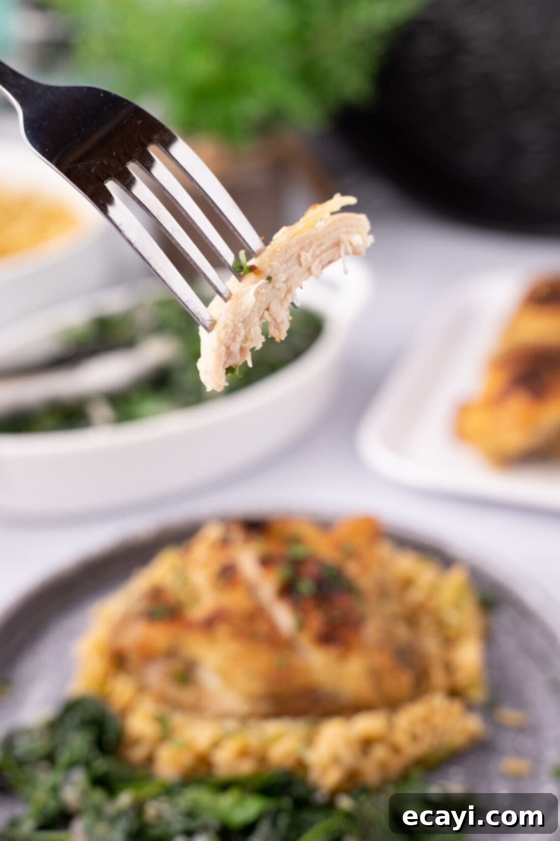 Effortless Instant Pot Chicken Thighs 12 Piece of Instant Pot Chicken Thigh on a fork