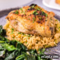 Effortless Instant Pot Chicken Thighs 13 Close up photo of a Instant Pot Chicken Thigh on a bed of rice