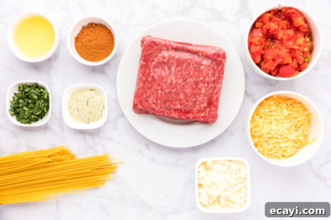 Tex-Mex Spaghetti 4 Ingredients for Taco Spaghetti
