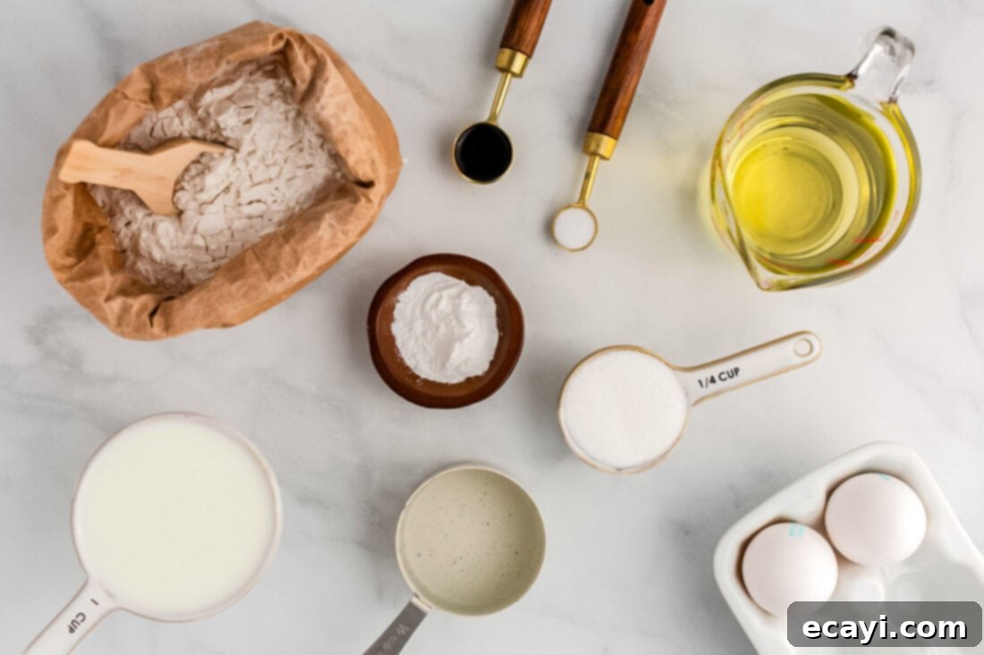 Carnival Classic: The Art of Funnel Cake 4 Ingredients for Funnel Cake