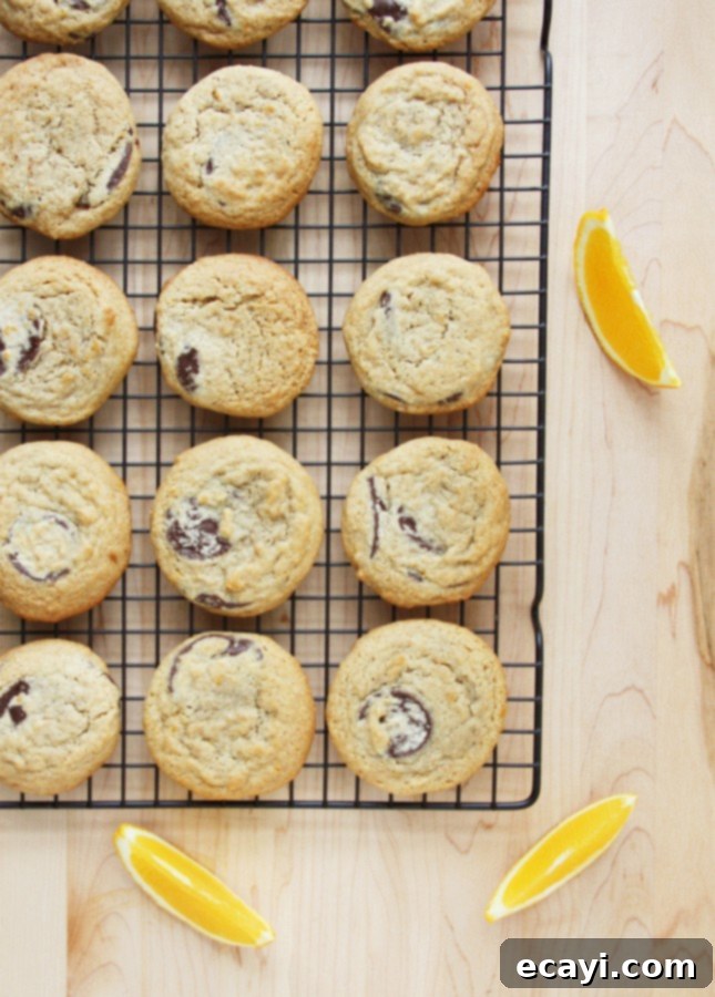 Wholesome Clementine Chocolate Chunk Delights 2 Whole Wheat Chocolate Chunk and Clementine Cookies // FoodNouveau.com