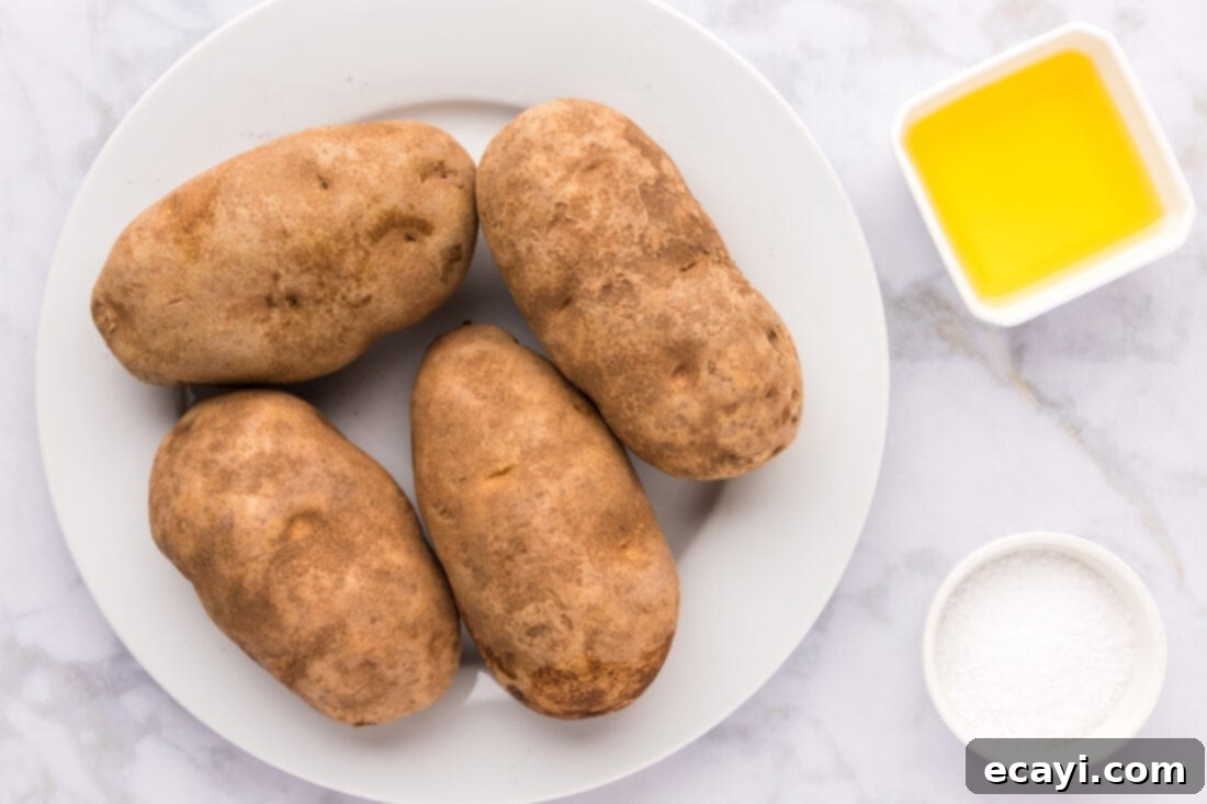 Baked Potato Perfection 4 Ingredients for Baked Potatoes