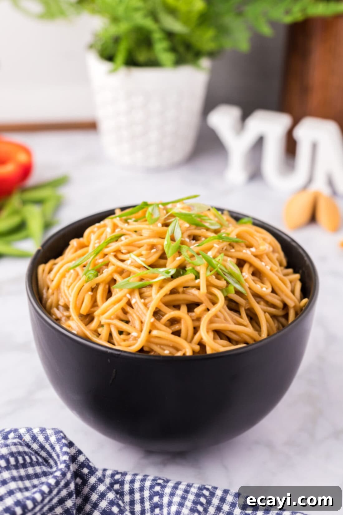 Whip Up Your Own Teriyaki Sauce 5 img 87704 5