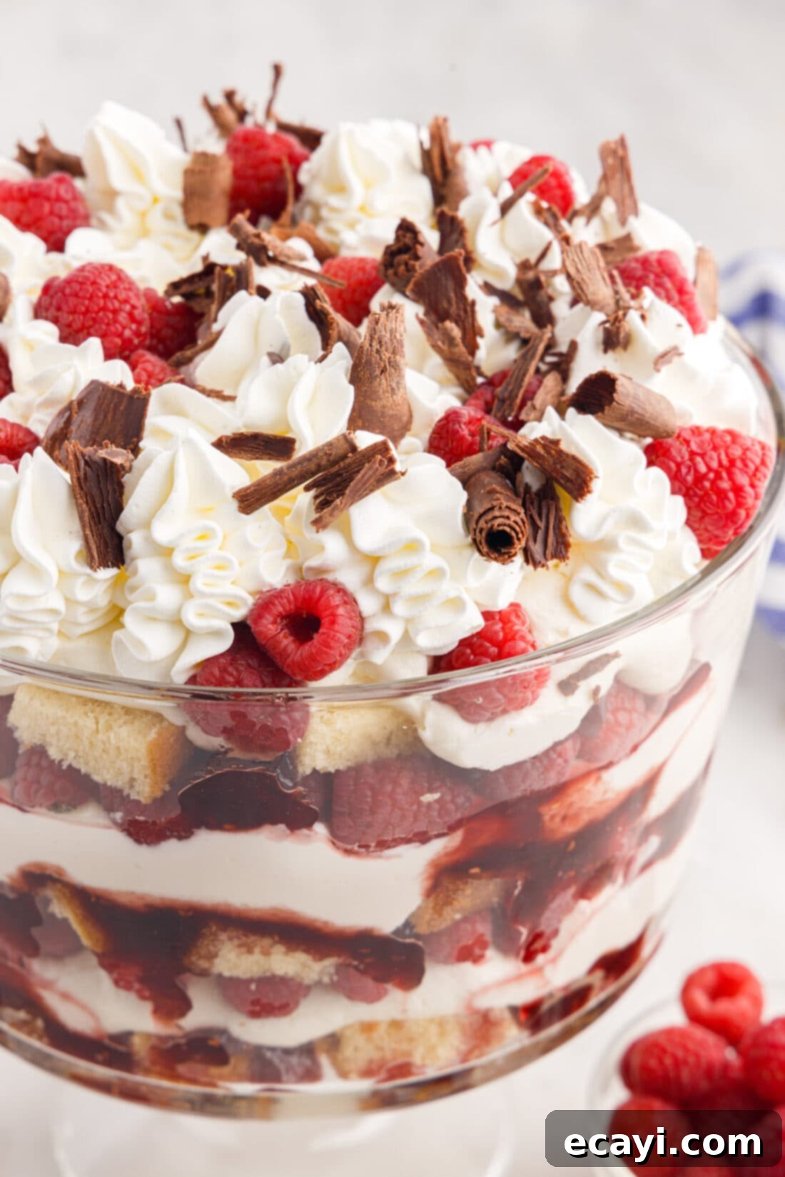 Raspberry Trifle 2 Close up photo of a Raspberry Trifle with fresh raspberries and chocolate curls
