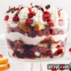Raspberry Trifle 18 Close up side shot of a Raspberry Trifle showing its beautiful layers