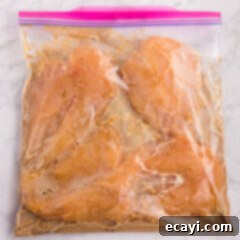 Delicious Honey Garlic Chicken Marinade 9 Honey Garlic Chicken Marinade in a bag with chicken breasts, ready to infuse flavor.