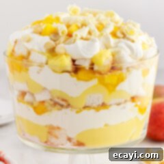 Golden Mango Indulgence 15 Photo of a Mango Trifle, beautifully layered and ready to serve.
