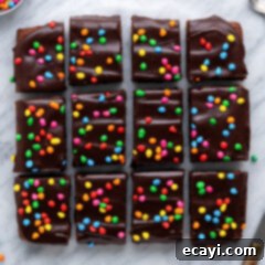 Dark Matter Delights 22 Overhead photo of Cosmic Brownies cut into squares, showing the rich chocolate and colorful sprinkles.