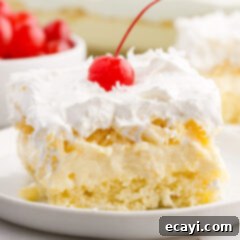 Billionaire Bliss Cake 16 Close up photo of a piece of Millionaire Cake with layers clearly visible and garnished with a cherry.